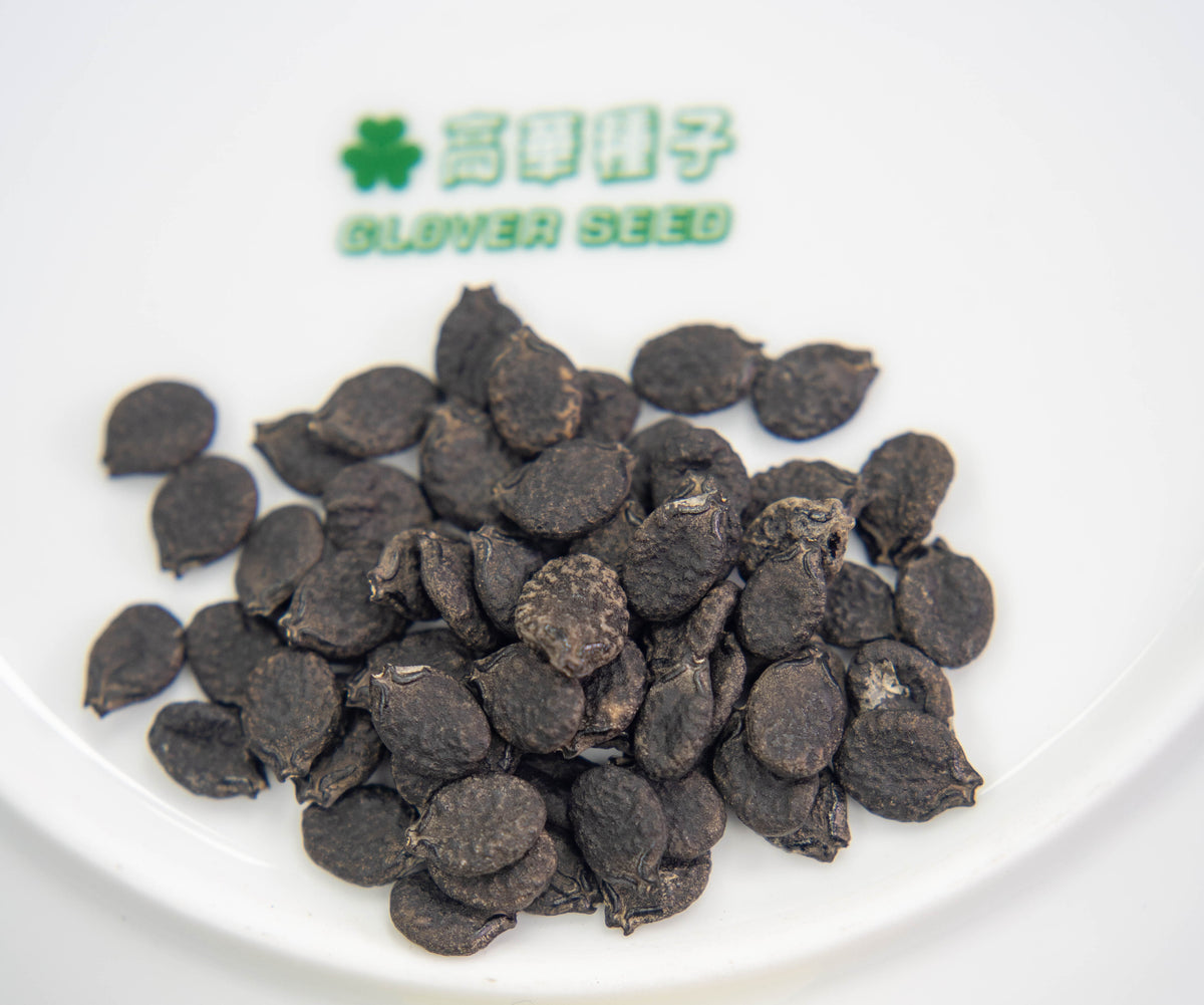 CSR12504_1200x1200.jpg?v=