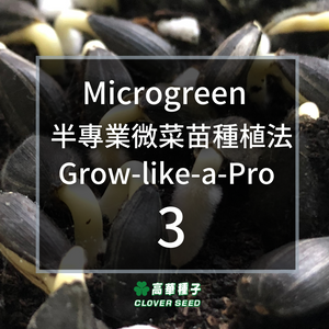 Microgreen Grow Like A Pro! - 3 (Reading time: 3 minutes)