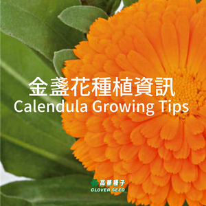 Growing Tips for Calendula (Reading time: 2 minutes)