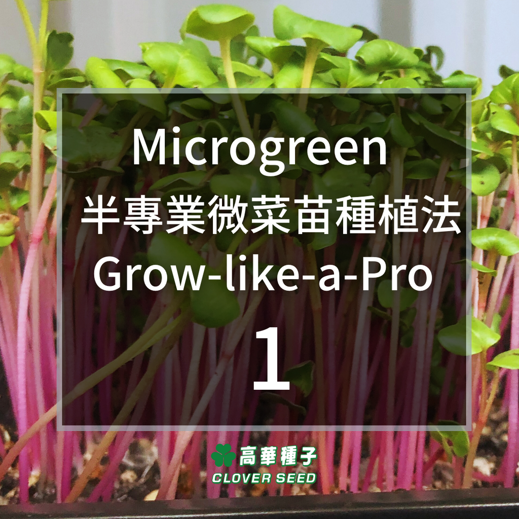 Microgreen Grow Like A Pro! - 1 (Reading time: 5 minutes)