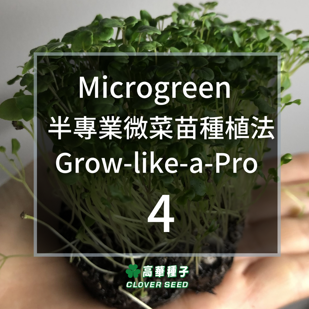 Microgreen Grow Like A Pro! - 4 (Reading time: 3 minutes)
