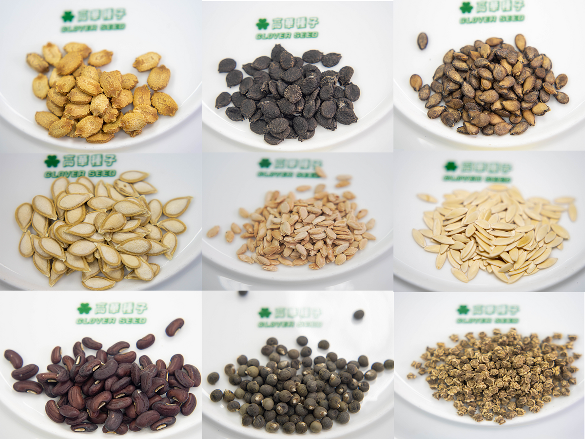 蔬菜種子形態 - Part 2 – cloverseedretail