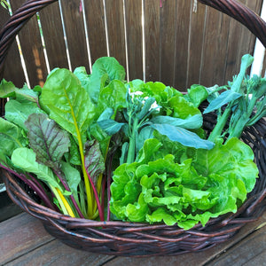 葉菜 / Leafy Vegetable