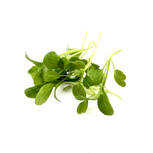 火箭菜 圓葉