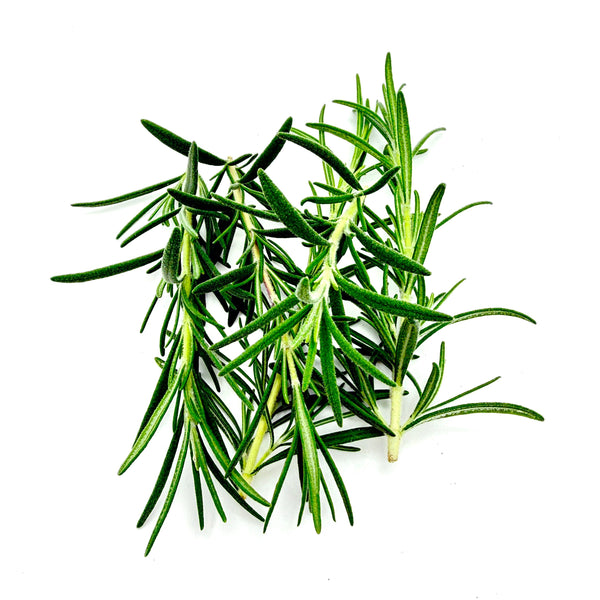 Herbs Rosemary Seedlings (SF or pick-up only)