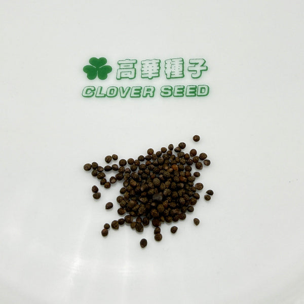 Herbs Shiso - Red