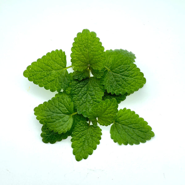 香草檸檬香蜂草