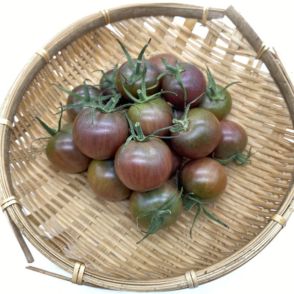 香港番茄種植套裝 園藝禮品 Hong Kong tomato grow kit gardening gift