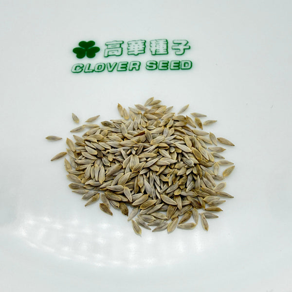 生菜 牛油生菜