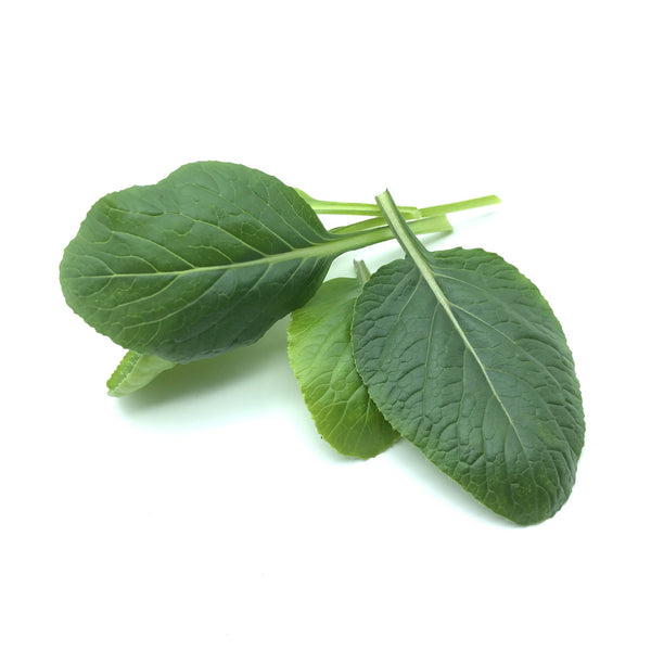 香港 小松菜種子 Hong Kong Komatsuna seed baby leaf seed mixed greens oriental vegetables