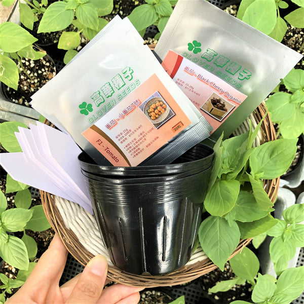 香港番茄種植套裝 園藝禮品 Hong Kong tomato grow kit gardening gift
