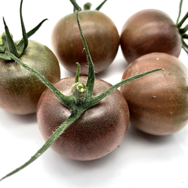 香港黑蕃茄 黑番茄 車厘茄 種子 美國Johnny's種子 Hong Kong Black Cerry Tomato seed