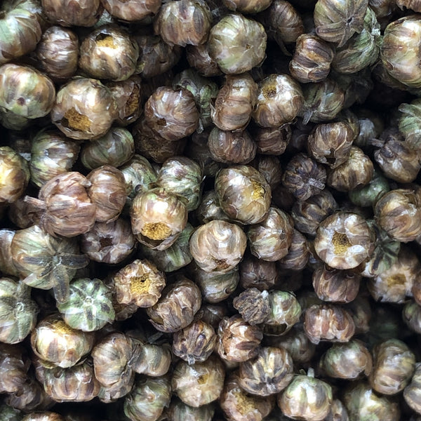 香港 本地農產 花茶 胎菊 Hong Kong Hangzhou Chrysanthemum floral tea local produce