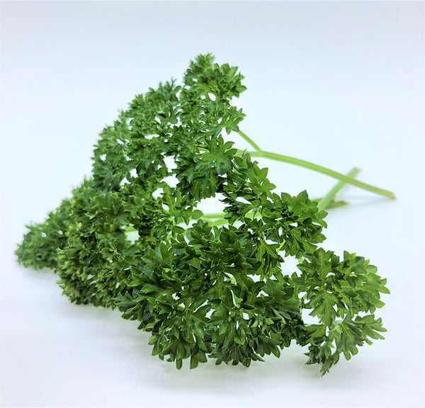 Herbs Parsley Seedling (SF or pick-up only)