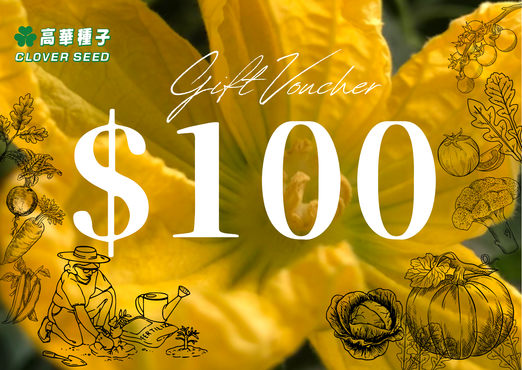  $100 Clover Seed Gift Card