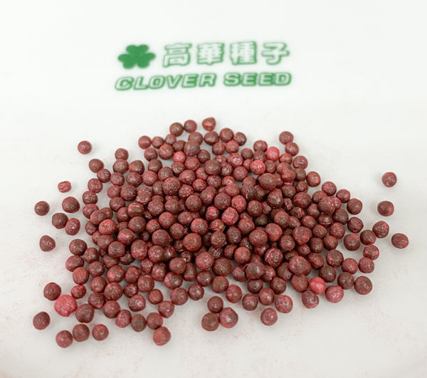 香港芥蘭種子 汕頭粗梗 Chinese Kale 高華種子 Buy Seed Hong Kong