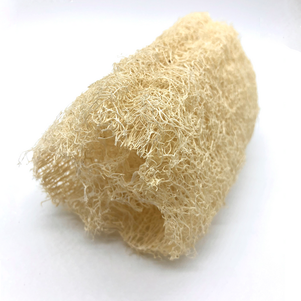 Hong Kong Natural Loofah Luffa Sponge beauty care or household 香港天然絲瓜瓤海綿  洗净護膚 家居清潔