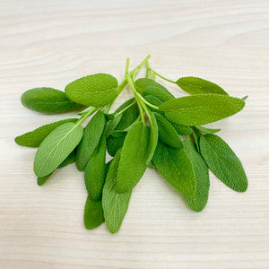 香港 香草 鼠尾草 microgreen 微型菜苗種子 Hong Kong Herb Sage  microgreen Seed