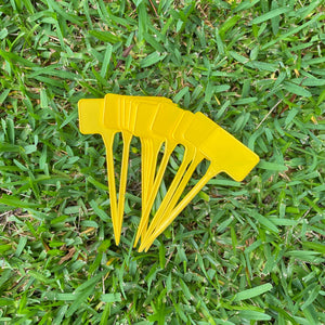 Plastic T-Type Plant Tags