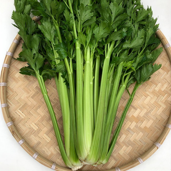 香港西芹種子 Hong Kong Celery Seed