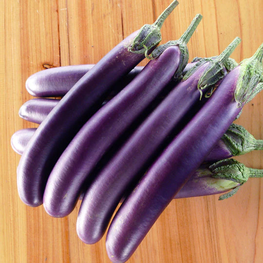  F1 Eggplant Seedlings (Pick-up only)