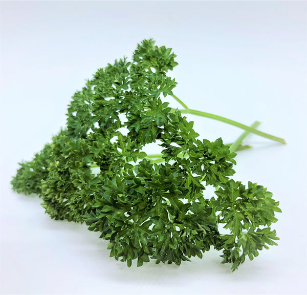 香港番茜種子 Hong Kong Parsley seed
